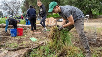 Volunteers for Friends of the LA River roll up their sleeves to remove invasive mustard