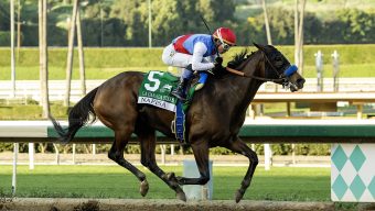Horse racing: Skippylongstocking wins Pegasus World Cup in upset
