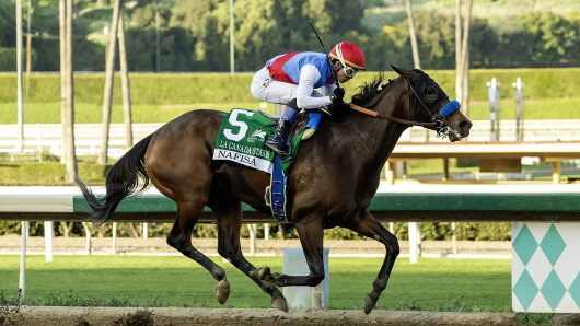 Horse racing: Skippylongstocking wins Pegasus World Cup in upset