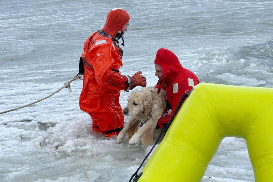 Rhode Island firefighters rescue a yellow Lab from an icy pond on New Year’s Day