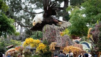 Thousands brave rain for Float Fest, glimpse of Rose Parade entries up close