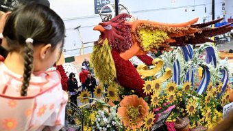 Floatfest gives fans an up-close look at Rose Parade entries