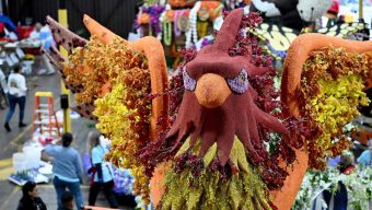 LA wildfire victims honored, survivors walk, ride on Rose Parade not far from destruction