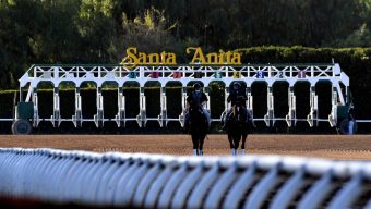 Santa Anita consensus picks for Sunday, Jan. 11, 2026