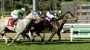 Horse racing: Vodka Vodka’s Cal Cup win is trainer’s latest sip of success