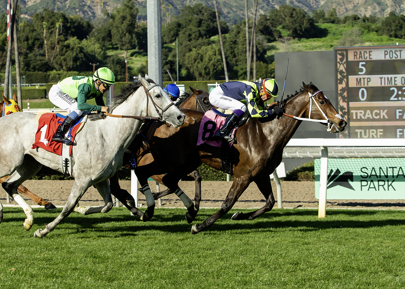 Horse racing: Vodka Vodka’s Cal Cup win is trainer’s latest sip of success