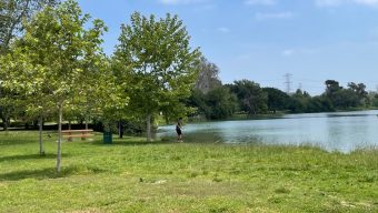 Federal immigration agents stop, question two LA County employees at Whittier Narrows park