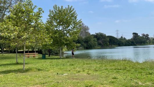Federal immigration agents stop, question two LA County employees at Whittier Narrows park